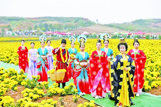  以菊為媒 展現秋美